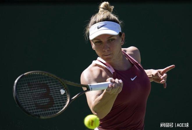 也意味着智 也意味着智