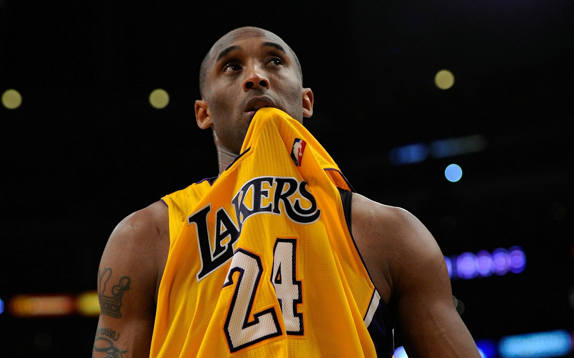 向胜利挺进 向胜利挺进